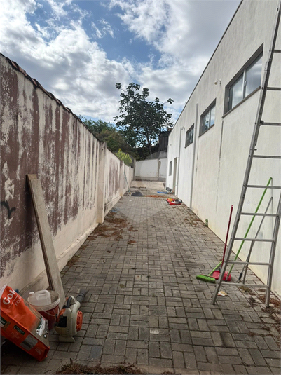 Foto REO1136793