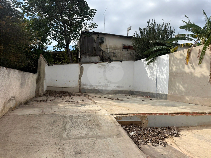 Foto REO1136793