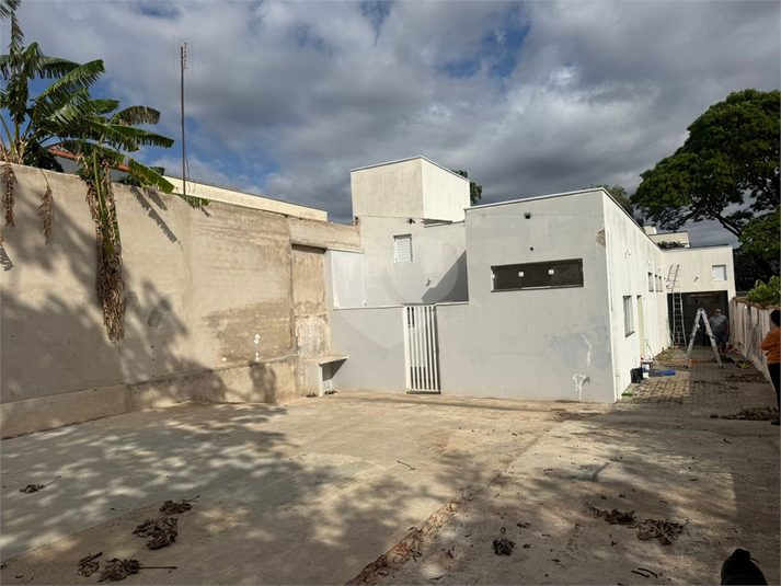 Foto REO1136793