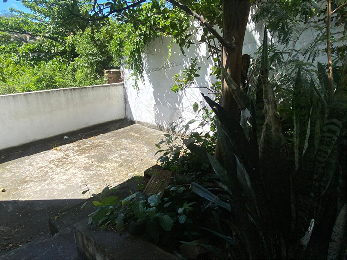 Foto REO1136823