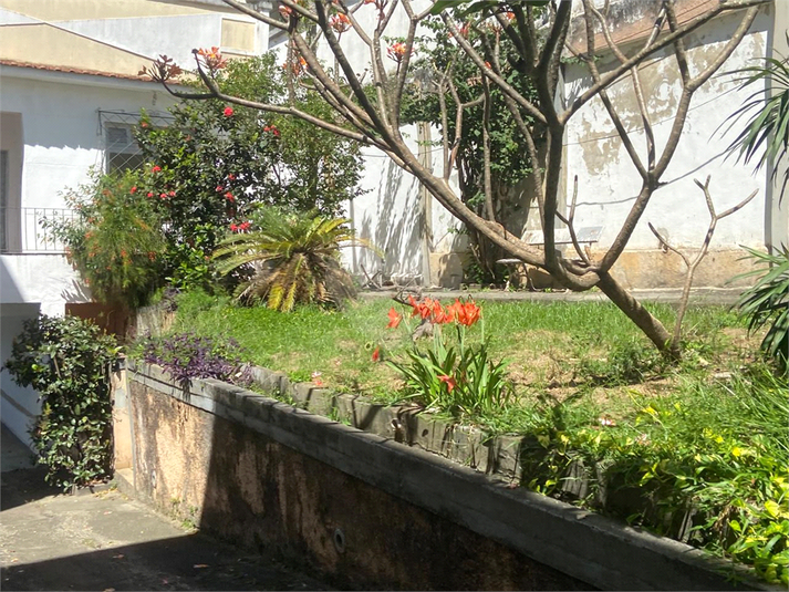 Foto REO1136823