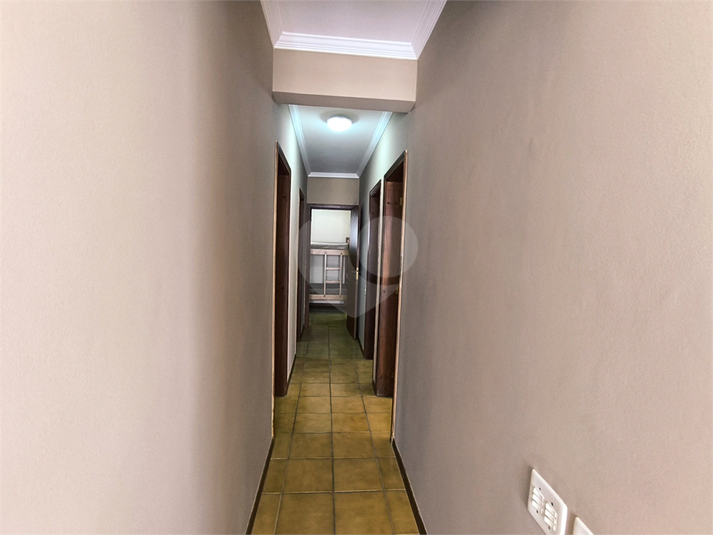 Foto REO1136831