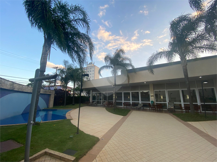Foto REO1136835