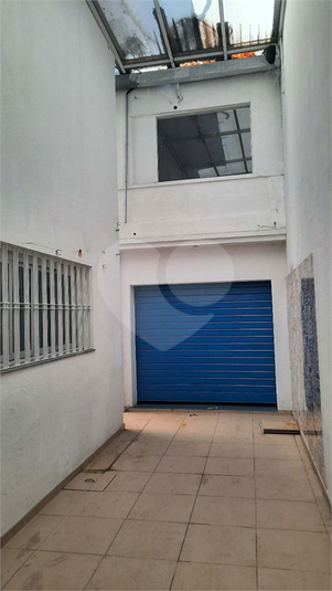 Foto REO1136862