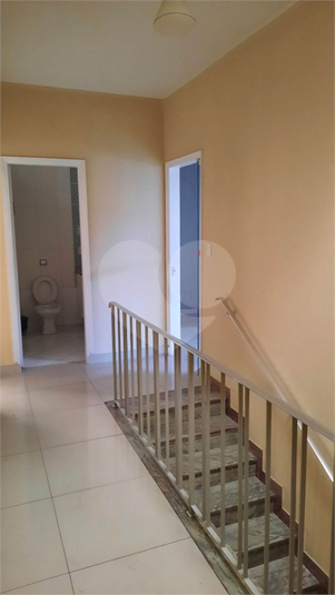 Foto REO1136862