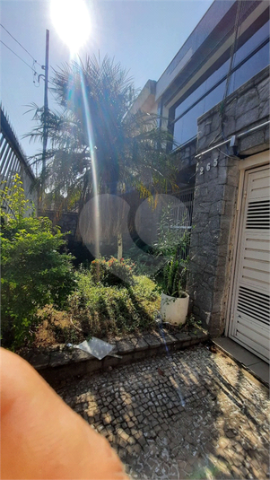 Foto REO1136862