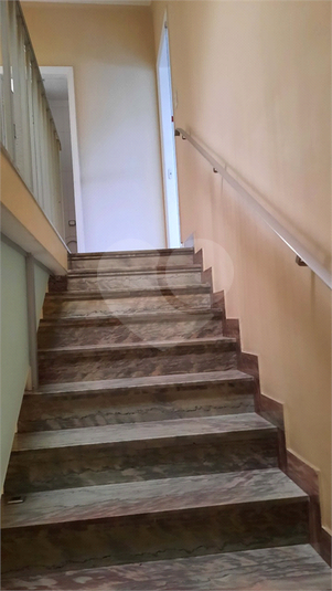Foto REO1136862