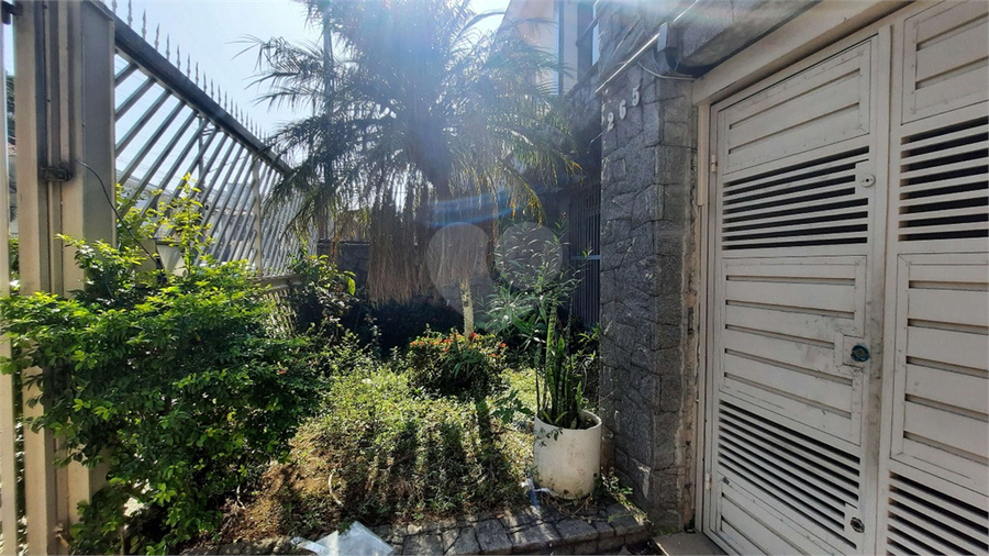 Foto REO1136862