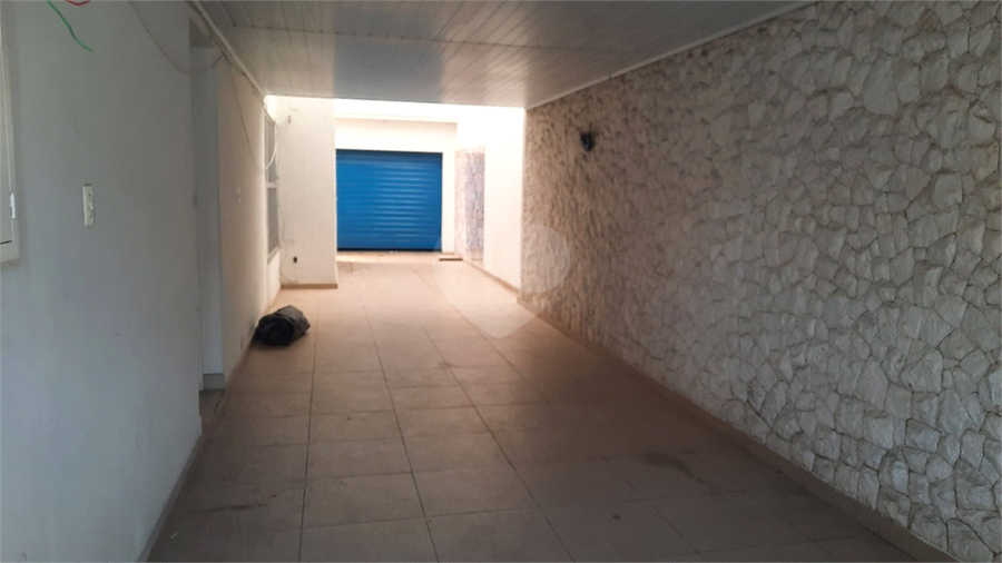 Foto REO1136862