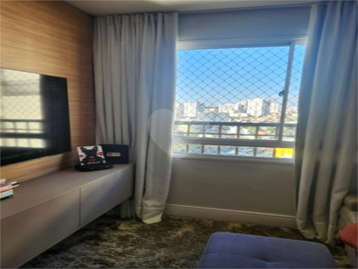 Foto REO1136866