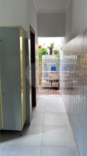 Foto REO1136869