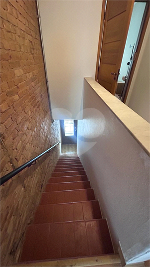 Foto REO1136869