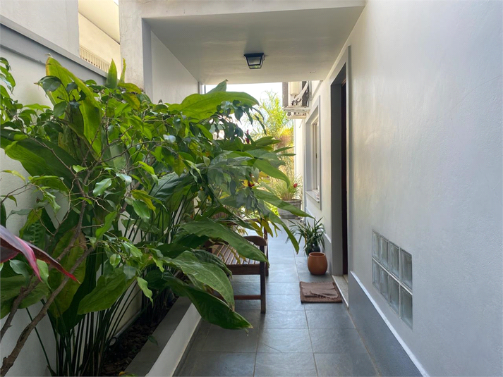 Foto REO1136880
