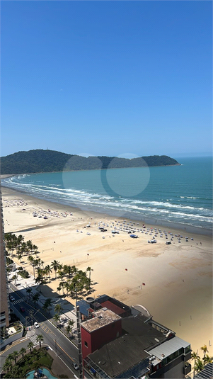 Foto REO1136883