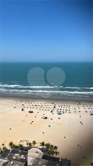 Foto REO1136883