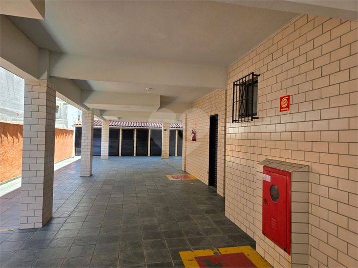 Foto REO1136885