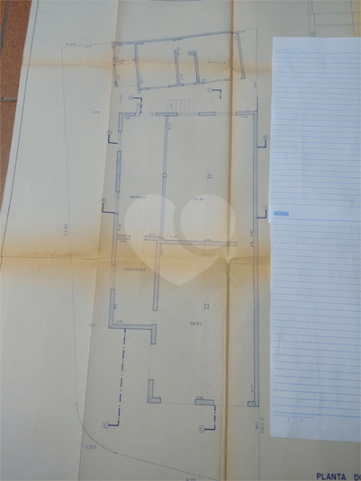 Foto REO1136902