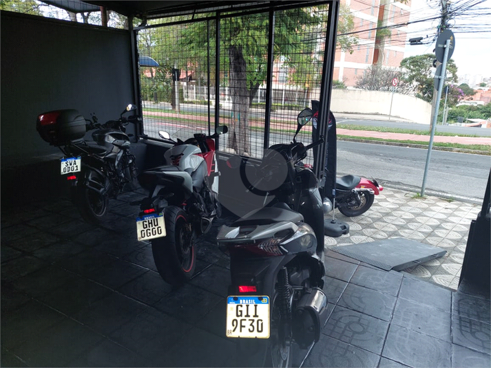Foto REO1136902