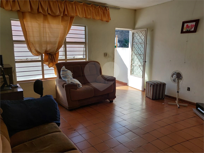 Foto REO1136902