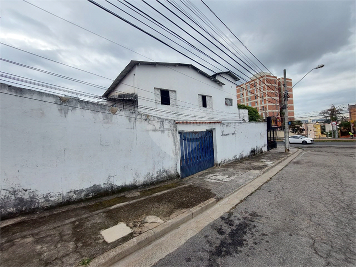 Foto REO1136902