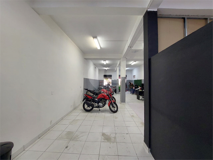 Foto REO1136902