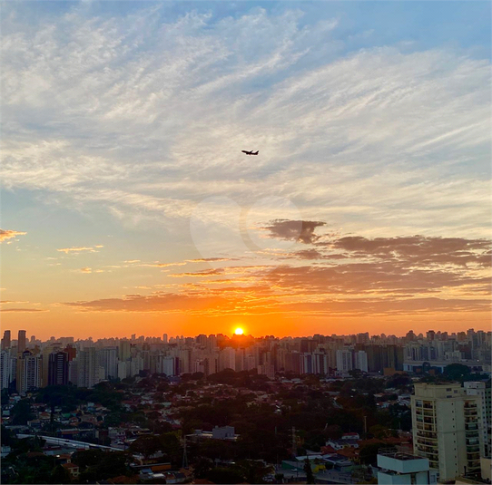 Foto REO1136912