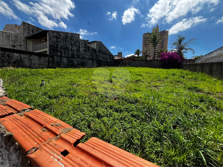Foto REO1136941