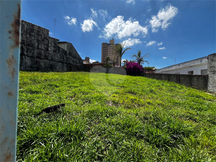 Foto REO1136941