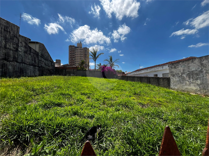 Foto REO1136948