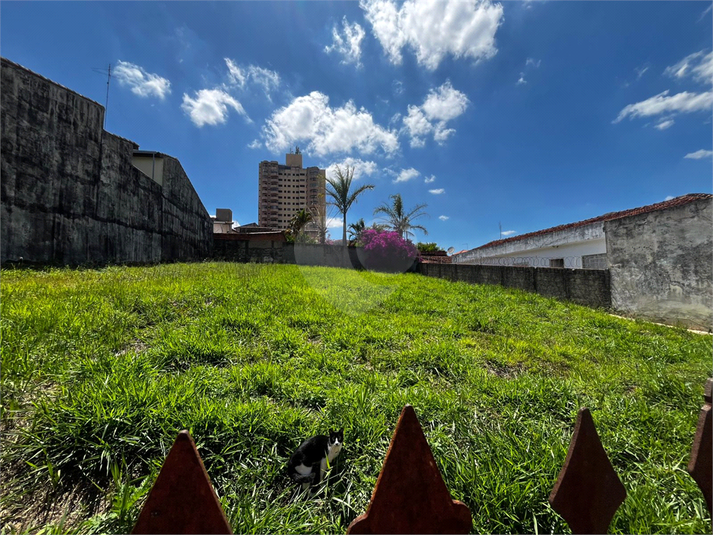 Foto REO1136948