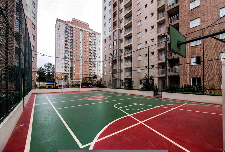 Foto REO1136981