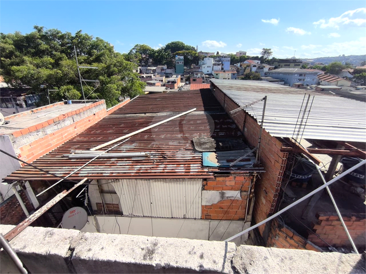 Foto REO1137052
