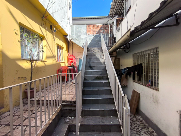 Foto REO1137052
