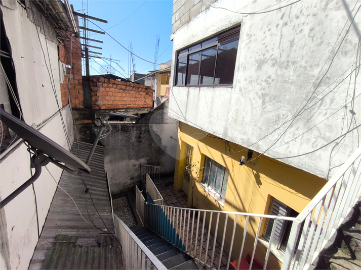 Foto REO1137052