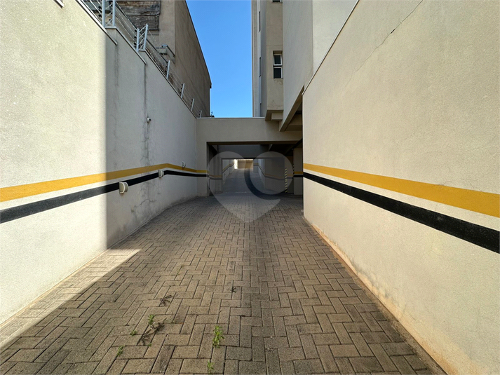 Foto REO1137072