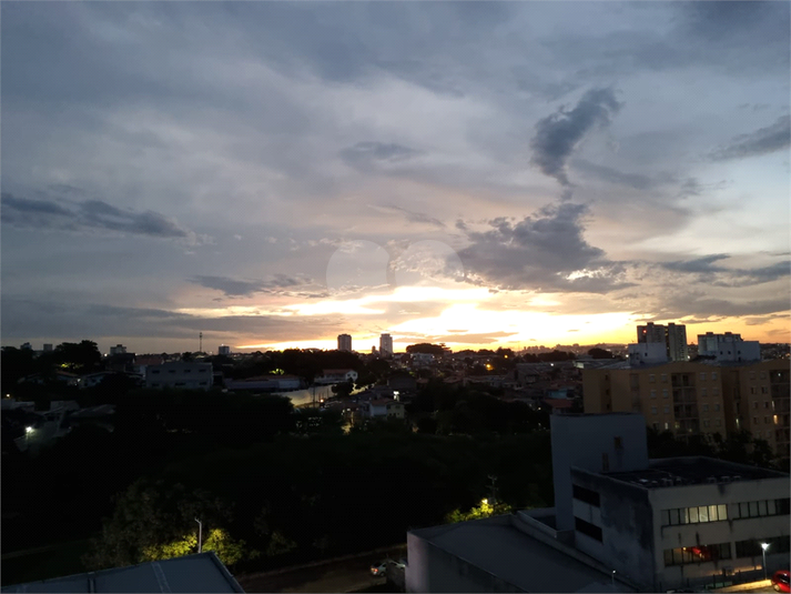 Foto REO1137076