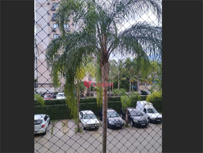 Foto REO1137103
