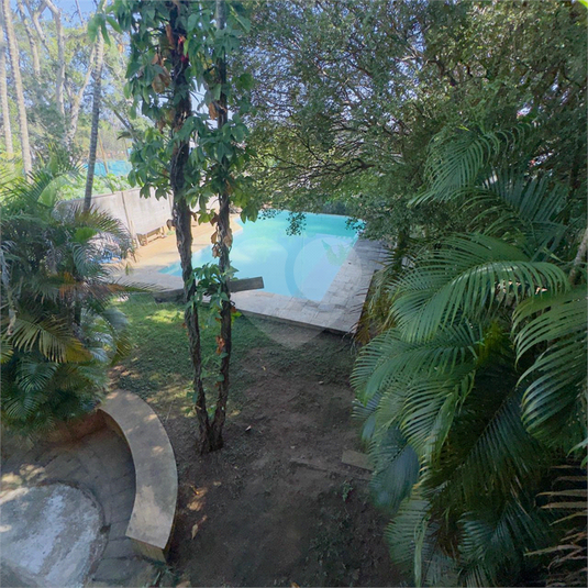 Foto REO1137108