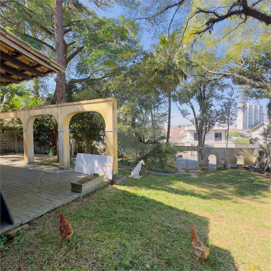Foto REO1137108