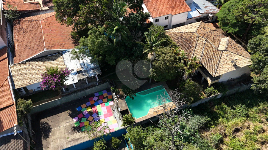Foto REO1137108