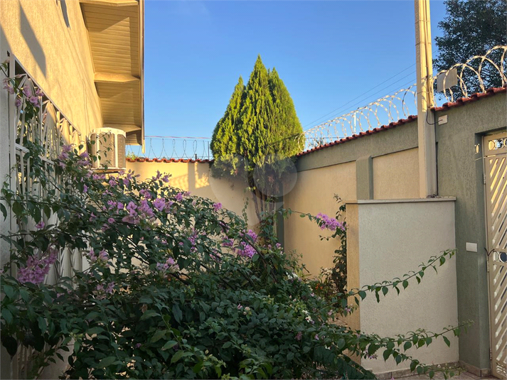 Foto REO1137118