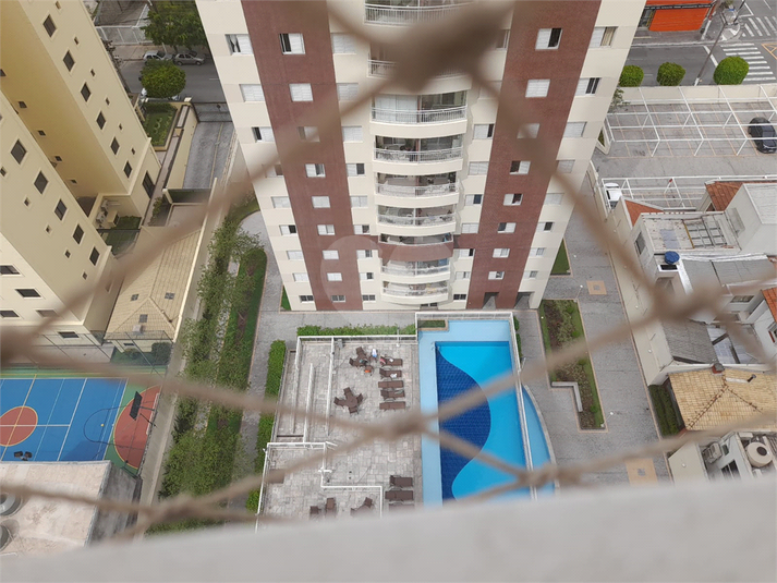 Foto REO1137125