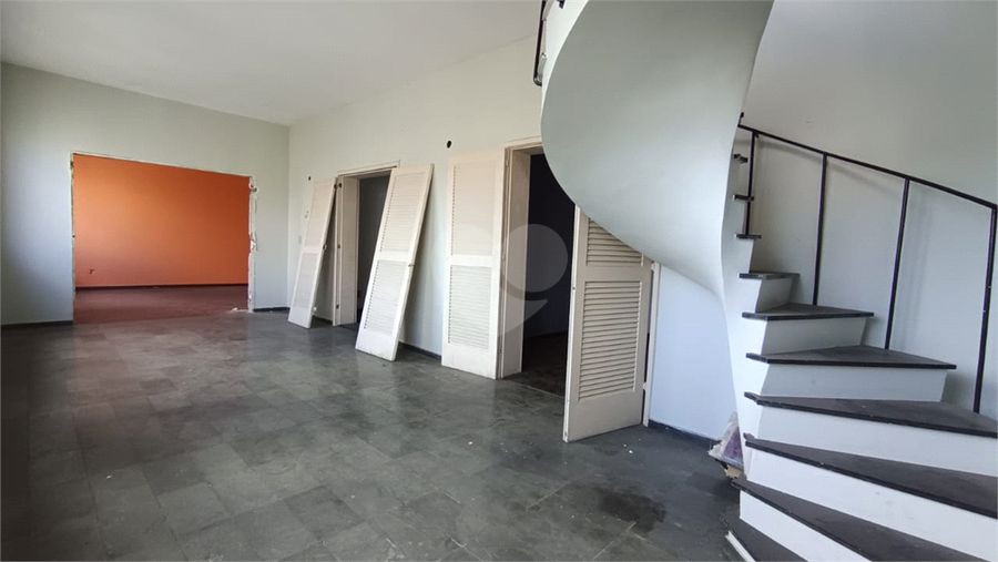 Foto REO1137174
