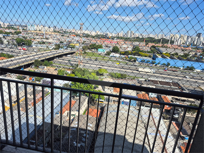 Foto REO1137190