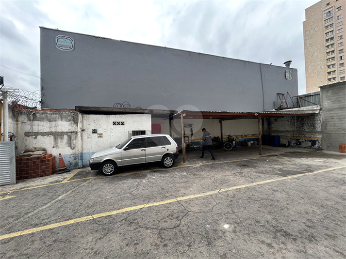 Foto REO1137229