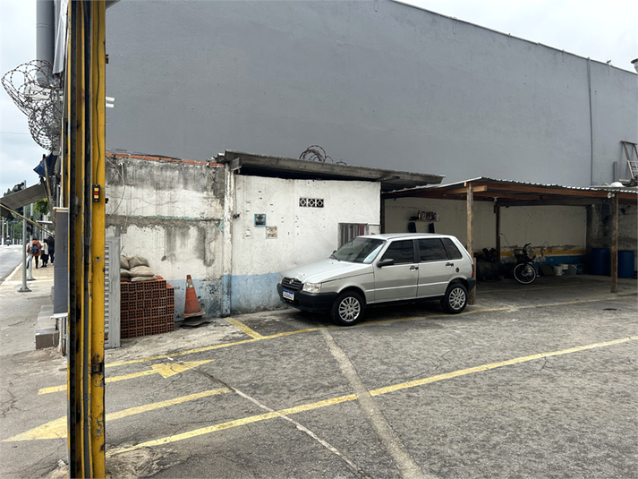 Foto REO1137229