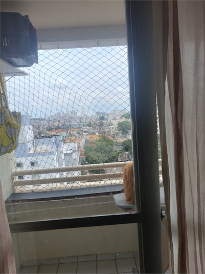 Foto REO1137250