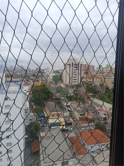 Foto REO1137250