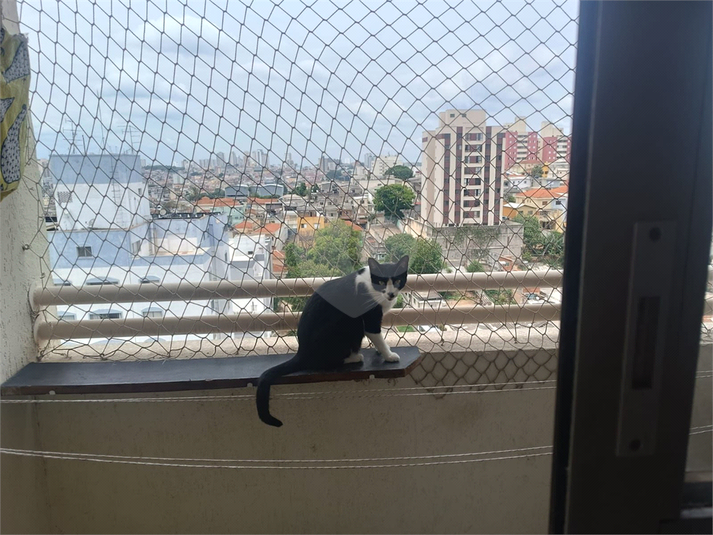 Foto REO1137250