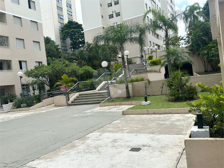 Foto REO1137250
